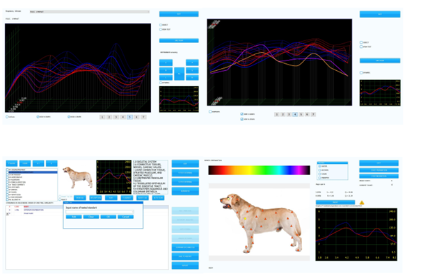 NLS-Bundle VET - BIOPHILIA GUARDIAN für Hund, Pferd, Katze + Remote Quantum Meta Box