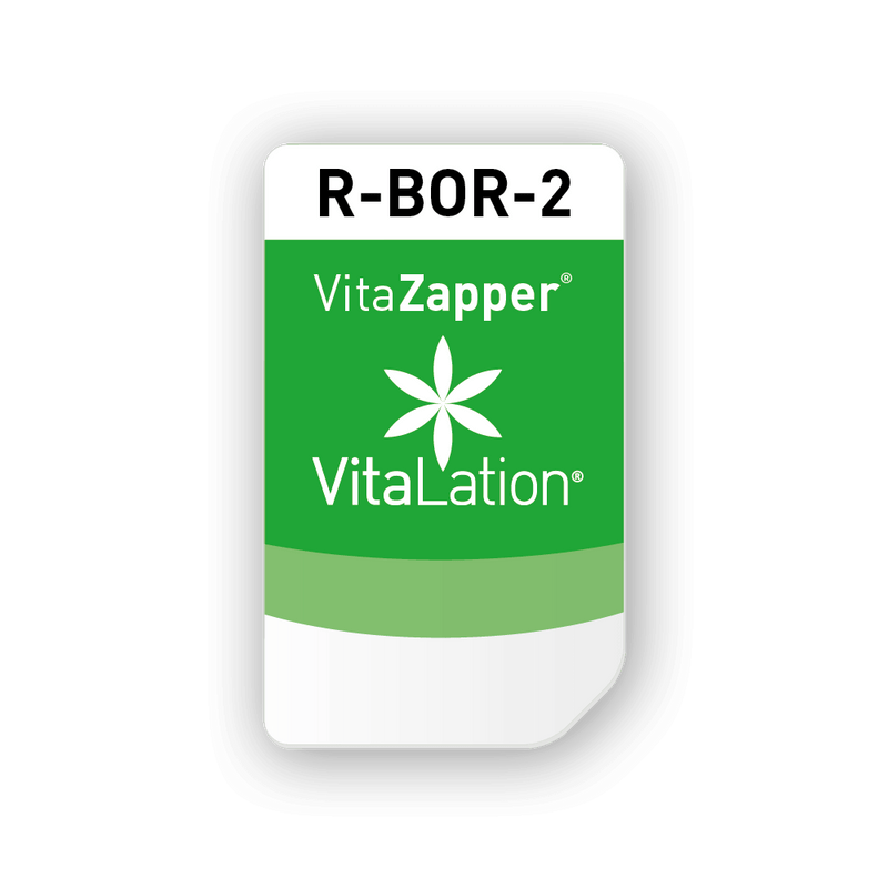 R-BOR-2 - Dauer 21:00 Minuten