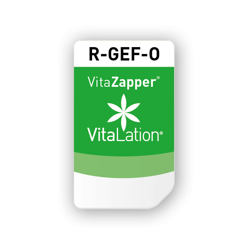 R-GEF-O - Organkarte: Blutgefäße