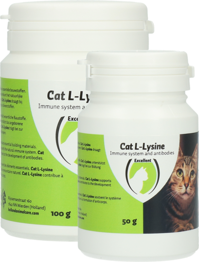 Cat L-Lysine