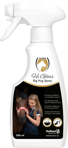 Hi Gloss Big Hug spray