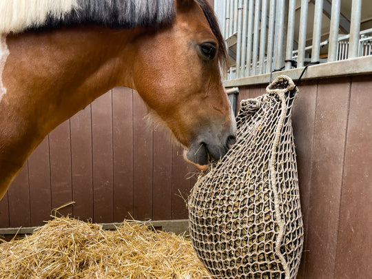 Heunetz Slowfeeder 5 kg Pony  Doppelnetz