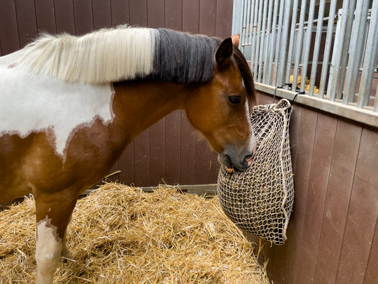 Heunetz Slowfeeder 5 kg Pony  Doppelnetz