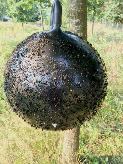 Horse Fly Trap Ball