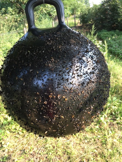 Horse Fly Trap Ball