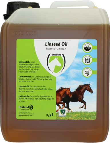 Linseed Oil (Leinsamenöl)