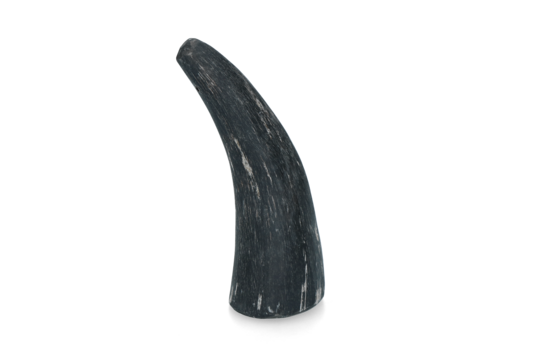 Viking whole Horn M