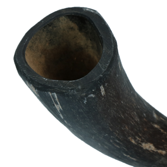 Viking whole Horn L