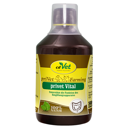 privet Vital 500ml