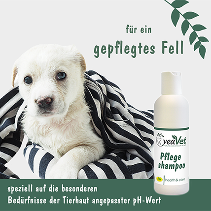 VeaVet Pflegeshampoo 1 L